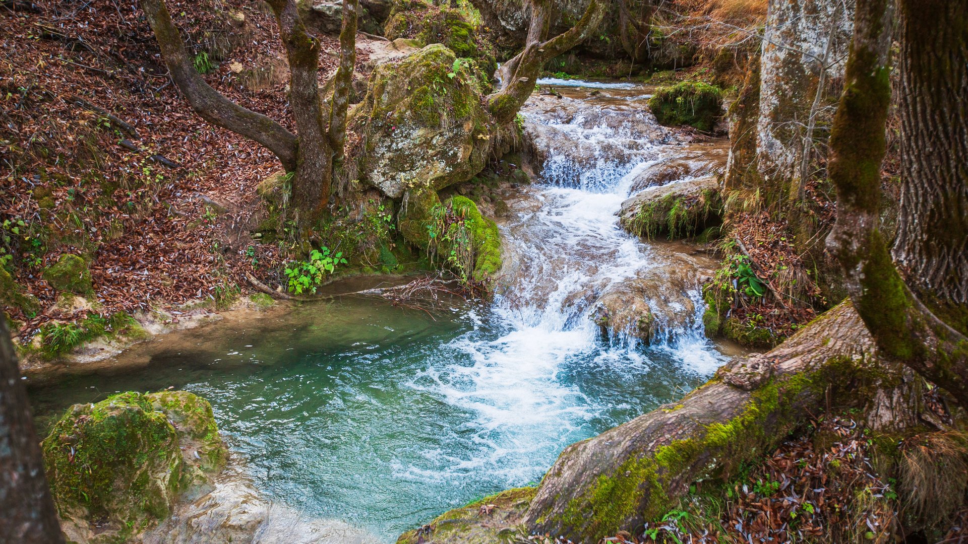 Vidikovac Banjska stena i kanjon Drine