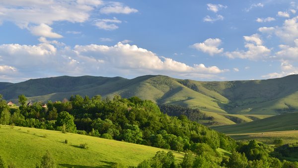 Meandri reke Uvac i čuvari neba